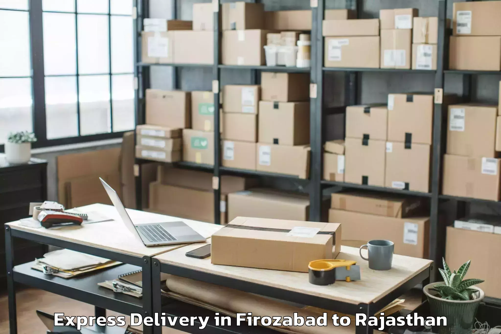 Professional Firozabad to Nims University Jaipur Express Delivery